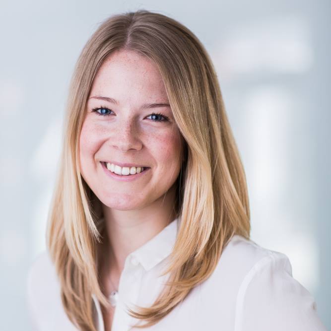 A Record breaking Year For Sustainable Bonds again DNB Nyheter